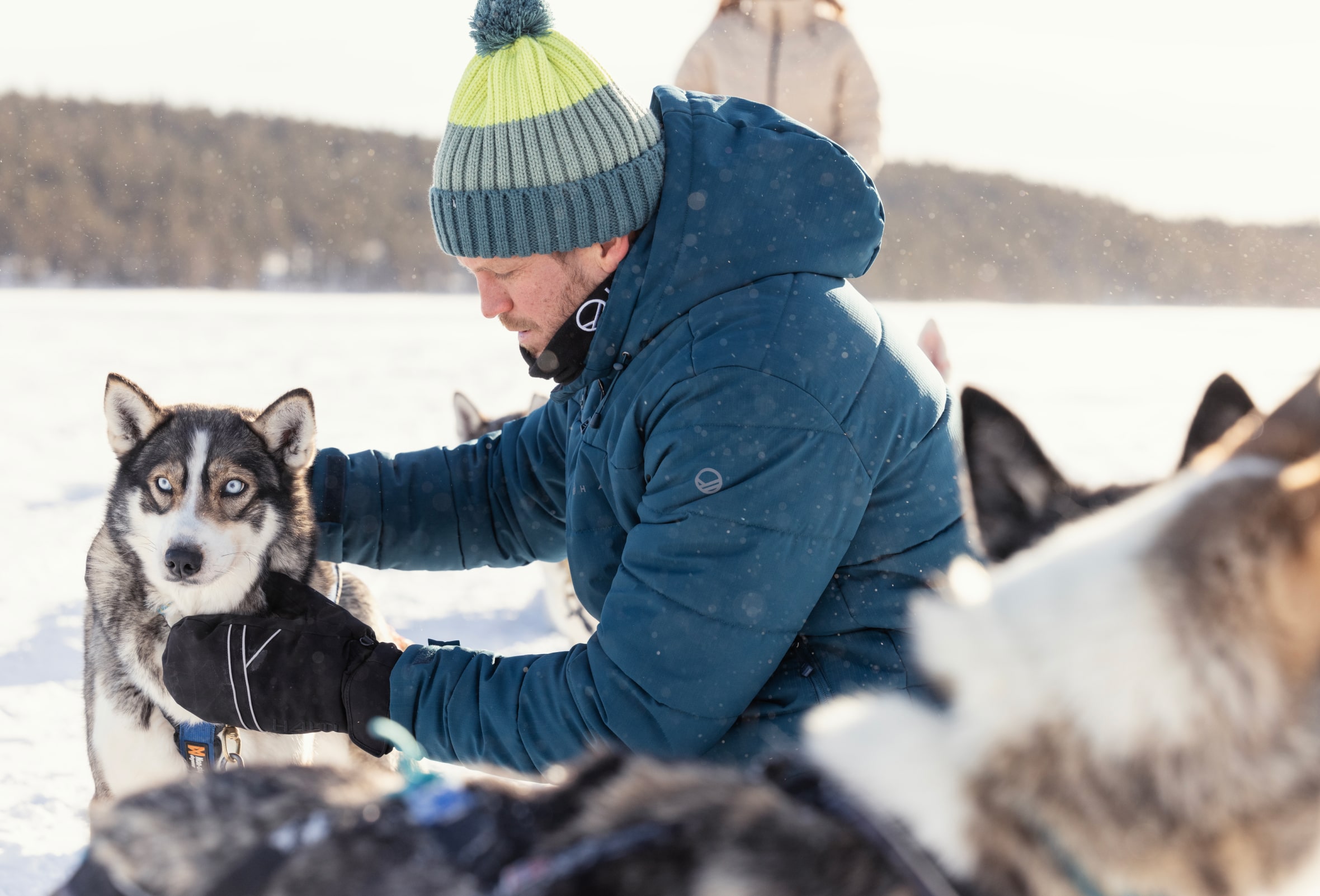 Kurtka narciarska męska Halti Mellow